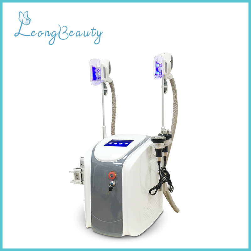 Portable White Grey Color Multifunction Fat Freezing Weight Loss Machine